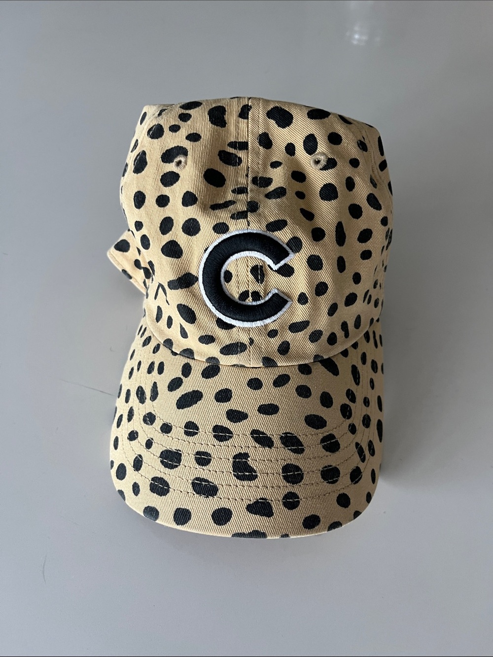 Cheetah Cubs Women hat